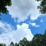 ヒメ日記 2025/08/08 12:01 投稿 愛沢みゆ アラフォーna奥様 アラフィフna奥様（埼玉ハレ系）