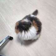 ヒメ日記 2025/08/31 19:00 投稿 愛沢みゆ アラフォーna奥様 アラフィフna奥様（埼玉ハレ系）