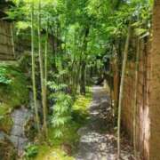 ヒメ日記 2025/09/03 07:00 投稿 愛沢みゆ アラフォーna奥様 アラフィフna奥様（埼玉ハレ系）