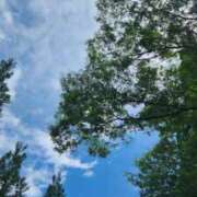 ヒメ日記 2025/09/11 07:00 投稿 愛沢みゆ アラフォーna奥様 アラフィフna奥様（埼玉ハレ系）