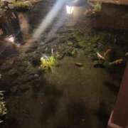 ヒメ日記 2025/09/11 19:00 投稿 愛沢みゆ アラフォーna奥様 アラフィフna奥様（埼玉ハレ系）