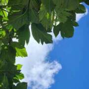 ヒメ日記 2025/09/14 07:00 投稿 愛沢みゆ アラフォーna奥様 アラフィフna奥様（埼玉ハレ系）