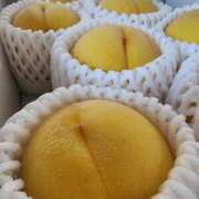 ヒメ日記 2025/09/20 07:00 投稿 愛沢みゆ アラフォーna奥様 アラフィフna奥様（埼玉ハレ系）