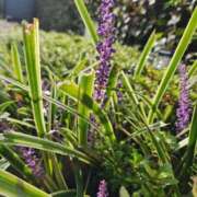 ヒメ日記 2025/10/01 07:00 投稿 愛沢みゆ アラフォーna奥様 アラフィフna奥様（埼玉ハレ系）