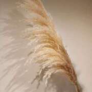 ヒメ日記 2025/10/02 12:01 投稿 愛沢みゆ アラフォーna奥様 アラフィフna奥様（埼玉ハレ系）