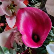 ヒメ日記 2025/10/15 07:01 投稿 愛沢みゆ アラフォーna奥様 アラフィフna奥様（埼玉ハレ系）