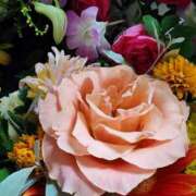 ヒメ日記 2025/10/23 07:01 投稿 愛沢みゆ アラフォーna奥様 アラフィフna奥様（埼玉ハレ系）