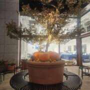 ヒメ日記 2025/10/30 19:00 投稿 愛沢みゆ アラフォーna奥様 アラフィフna奥様（埼玉ハレ系）