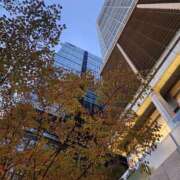 ヒメ日記 2025/11/08 07:00 投稿 愛沢みゆ アラフォーna奥様 アラフィフna奥様（埼玉ハレ系）