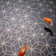 ヒメ日記 2025/11/13 07:01 投稿 愛沢みゆ アラフォーna奥様 アラフィフna奥様（埼玉ハレ系）