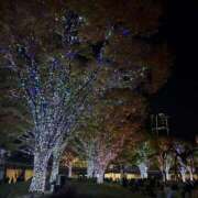 ヒメ日記 2025/11/19 07:00 投稿 愛沢みゆ アラフォーna奥様 アラフィフna奥様（埼玉ハレ系）