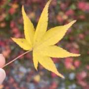 ヒメ日記 2025/11/24 19:00 投稿 愛沢みゆ アラフォーna奥様 アラフィフna奥様（埼玉ハレ系）