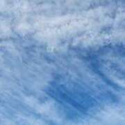 ヒメ日記 2025/11/26 07:01 投稿 愛沢みゆ アラフォーna奥様 アラフィフna奥様（埼玉ハレ系）