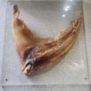 ヒメ日記 2025/11/28 12:01 投稿 愛沢みゆ アラフォーna奥様 アラフィフna奥様（埼玉ハレ系）