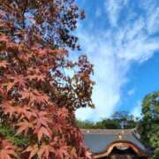 ヒメ日記 2025/11/30 07:01 投稿 愛沢みゆ アラフォーna奥様 アラフィフna奥様（埼玉ハレ系）