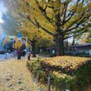 ヒメ日記 2025/12/03 07:01 投稿 愛沢みゆ アラフォーna奥様 アラフィフna奥様（埼玉ハレ系）