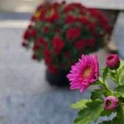 愛沢みゆ 聞いていたのと アラフォーna奥様 アラフィフna奥様（埼玉ハレ系）