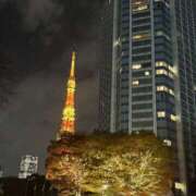 ヒメ日記 2025/12/08 22:23 投稿 愛沢みゆ アラフォーna奥様 アラフィフna奥様（埼玉ハレ系）