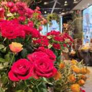 ヒメ日記 2025/12/13 07:00 投稿 愛沢みゆ アラフォーna奥様 アラフィフna奥様（埼玉ハレ系）