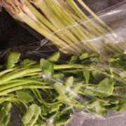 ヒメ日記 2025/12/14 07:00 投稿 愛沢みゆ アラフォーna奥様 アラフィフna奥様（埼玉ハレ系）