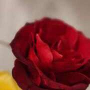 ヒメ日記 2025/12/21 07:00 投稿 愛沢みゆ アラフォーna奥様 アラフィフna奥様（埼玉ハレ系）