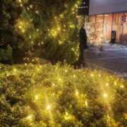 ヒメ日記 2025/12/21 19:01 投稿 愛沢みゆ アラフォーna奥様 アラフィフna奥様（埼玉ハレ系）