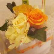 ヒメ日記 2025/12/31 07:00 投稿 愛沢みゆ アラフォーna奥様 アラフィフna奥様（埼玉ハレ系）