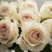 ヒメ日記 2026/01/04 07:00 投稿 愛沢みゆ アラフォーna奥様 アラフィフna奥様（埼玉ハレ系）