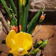 ヒメ日記 2026/01/16 19:00 投稿 愛沢みゆ アラフォーna奥様 アラフィフna奥様（埼玉ハレ系）