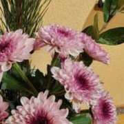 ヒメ日記 2026/01/17 07:00 投稿 愛沢みゆ アラフォーna奥様 アラフィフna奥様（埼玉ハレ系）