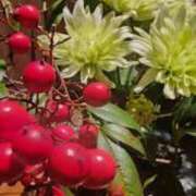 ヒメ日記 2026/01/21 08:17 投稿 愛沢みゆ アラフォーna奥様 アラフィフna奥様（埼玉ハレ系）