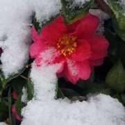 ヒメ日記 2026/02/08 19:01 投稿 愛沢みゆ アラフォーna奥様 アラフィフna奥様（埼玉ハレ系）