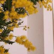 ヒメ日記 2026/02/09 19:00 投稿 愛沢みゆ アラフォーna奥様 アラフィフna奥様（埼玉ハレ系）