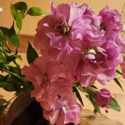 ヒメ日記 2026/02/12 07:01 投稿 愛沢みゆ アラフォーna奥様 アラフィフna奥様（埼玉ハレ系）