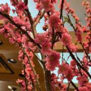 ヒメ日記 2026/03/07 07:00 投稿 愛沢みゆ アラフォーna奥様 アラフィフna奥様（埼玉ハレ系）