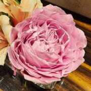 愛沢みゆ 見ているはずなのに アラフォーna奥様 アラフィフna奥様（埼玉ハレ系）