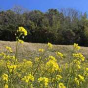 ヒメ日記 2026/03/14 20:18 投稿 愛沢みゆ アラフォーna奥様 アラフィフna奥様（埼玉ハレ系）