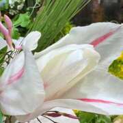 ヒメ日記 2026/03/17 07:02 投稿 愛沢みゆ アラフォーna奥様 アラフィフna奥様（埼玉ハレ系）