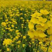 ヒメ日記 2026/03/23 19:01 投稿 愛沢みゆ アラフォーna奥様 アラフィフna奥様（埼玉ハレ系）