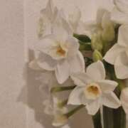 ヒメ日記 2026/03/28 07:01 投稿 愛沢みゆ アラフォーna奥様 アラフィフna奥様（埼玉ハレ系）