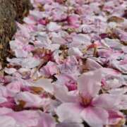 ヒメ日記 2026/04/10 19:01 投稿 愛沢みゆ アラフォーna奥様 アラフィフna奥様（埼玉ハレ系）