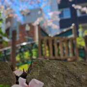 ヒメ日記 2026/04/13 07:00 投稿 愛沢みゆ アラフォーna奥様 アラフィフna奥様（埼玉ハレ系）