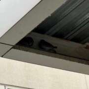 ヒメ日記 2025/01/20 09:35 投稿 まゆ☆清楚＆素人の良いとこ取り♪ 妹系イメージSOAP萌えフードル学園 大宮本校