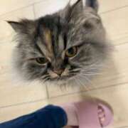 ヒメ日記 2025/05/15 09:33 投稿 まゆ☆清楚＆素人の良いとこ取り♪ 妹系イメージSOAP萌えフードル学園 大宮本校