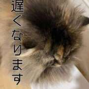 ヒメ日記 2026/02/26 09:05 投稿 まゆ☆清楚＆素人の良いとこ取り♪ 妹系イメージSOAP萌えフードル学園 大宮本校