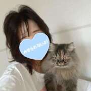 ヒメ日記 2026/09/03 06:19 投稿 まゆ☆清楚＆素人の良いとこ取り♪ 妹系イメージSOAP萌えフードル学園 大宮本校