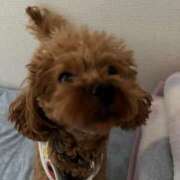 ヒメ日記 2025/02/12 11:24 投稿 りあ スパーク日本橋