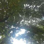 ヒメ日記 2025/03/09 13:19 投稿 聖子 ご奉仕奥様倶楽部