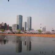 ヒメ日記 2025/03/26 12:17 投稿 聖子 ご奉仕奥様倶楽部