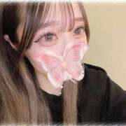 ヒメ日記 2025/01/23 03:58 投稿 りるる それいけ！ヤリスギ学園～舐めたくてグループ横浜校～